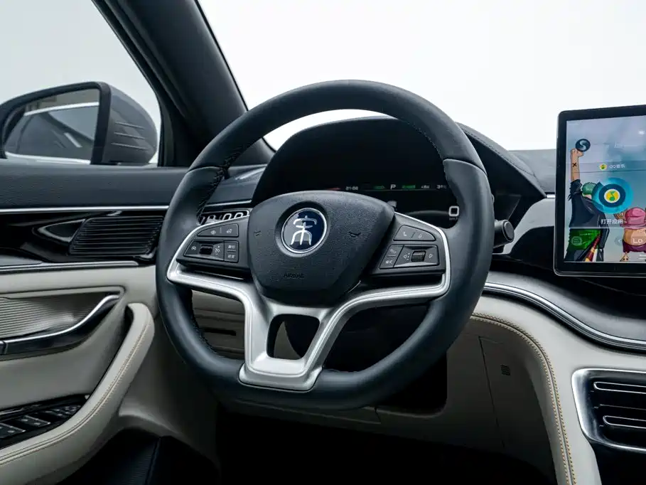 BYD Song PLUS New Energy 2024 — фото 17