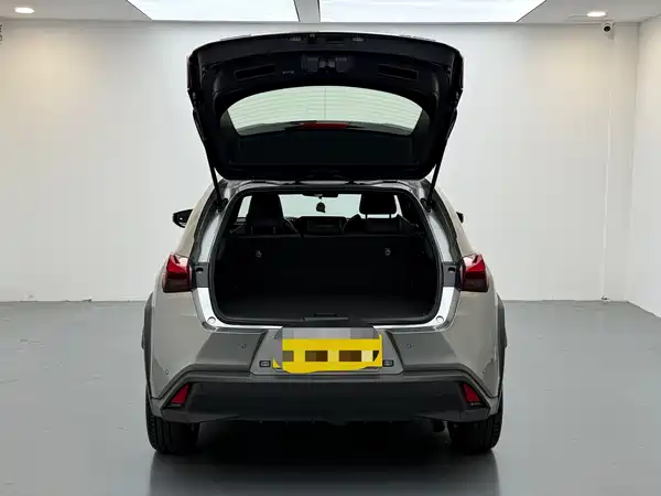 Lexus UX 2021