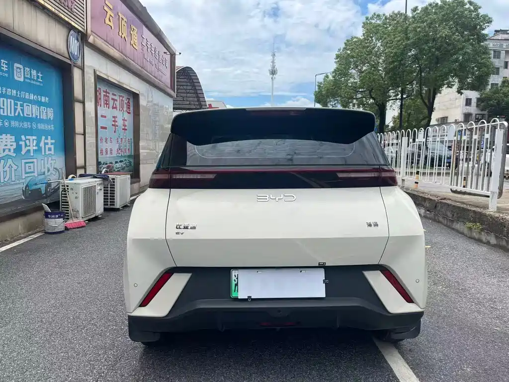 BYD Seagull 2024