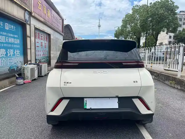 BYD Seagull 2024