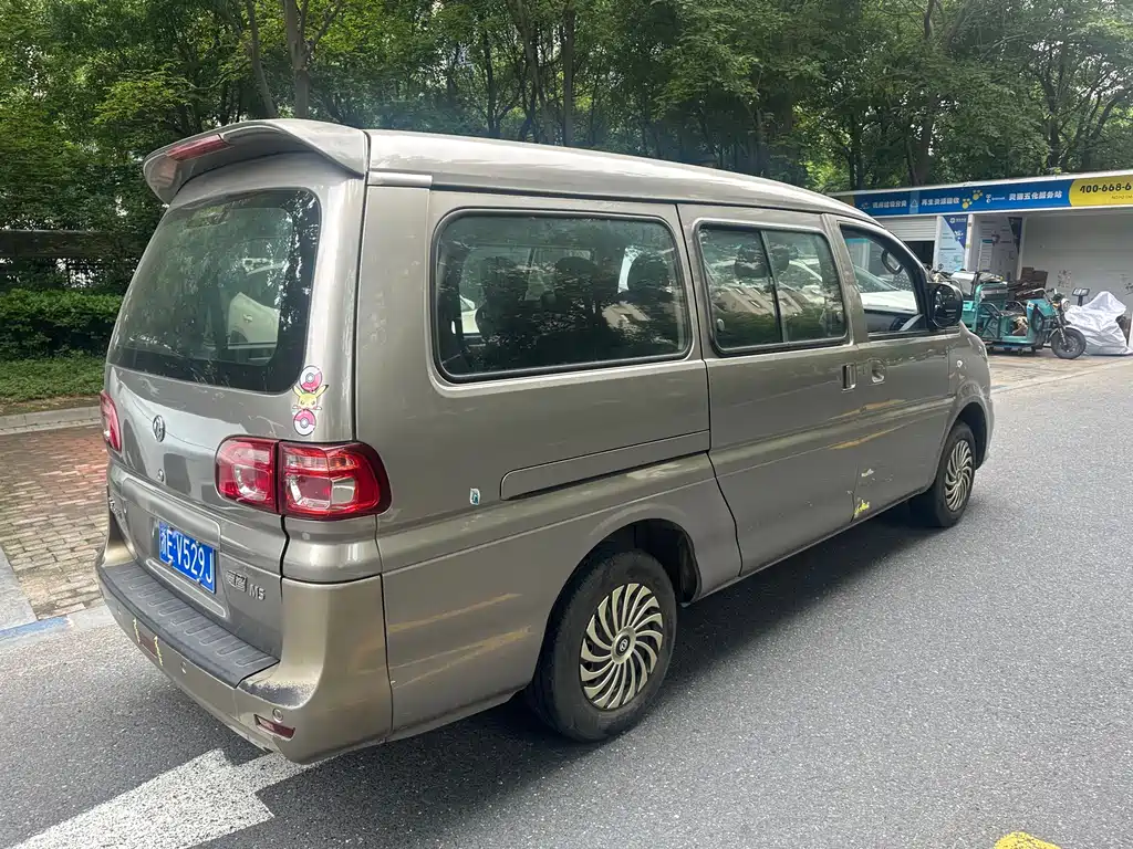 Fengxing Lingzhi 2019