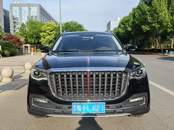 Hongqi HS7 2019