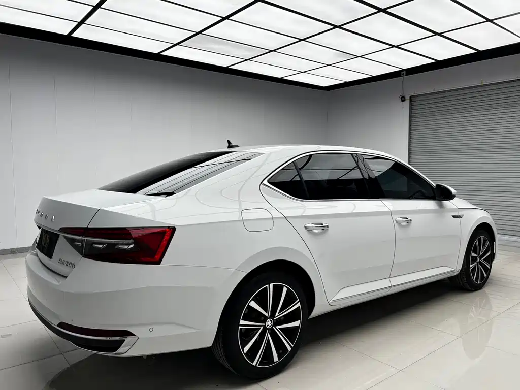 Skoda Speedy 2024
