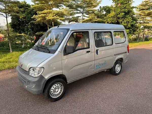 Wuling Sunshine 2020