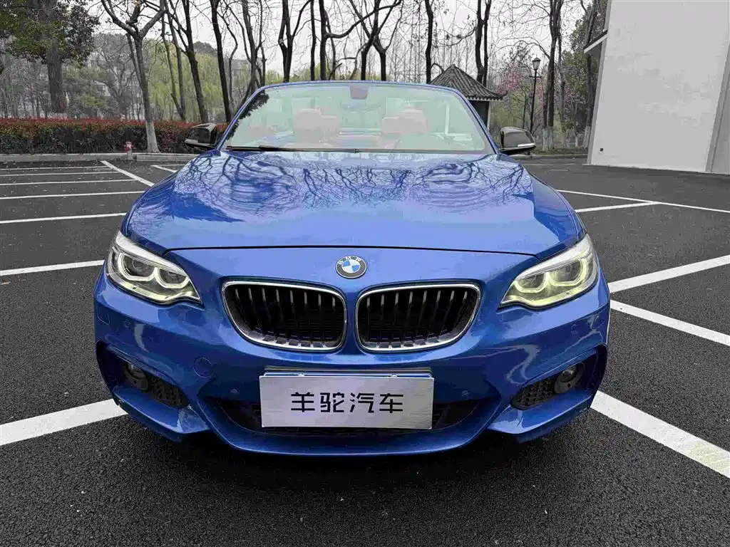 BMW 2 Series 2015