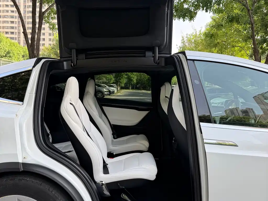 Tesla Model X 2017 — фото 13