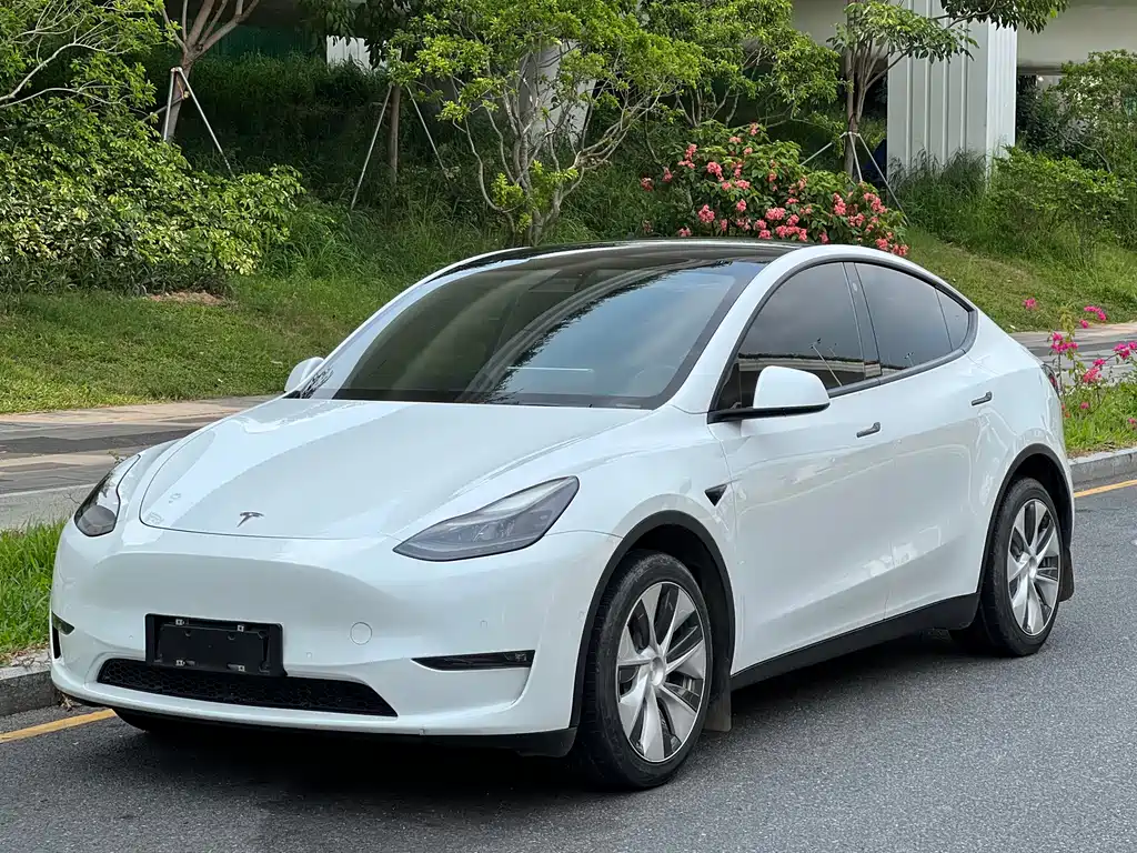 Tesla Model Y 2021 — фото 1