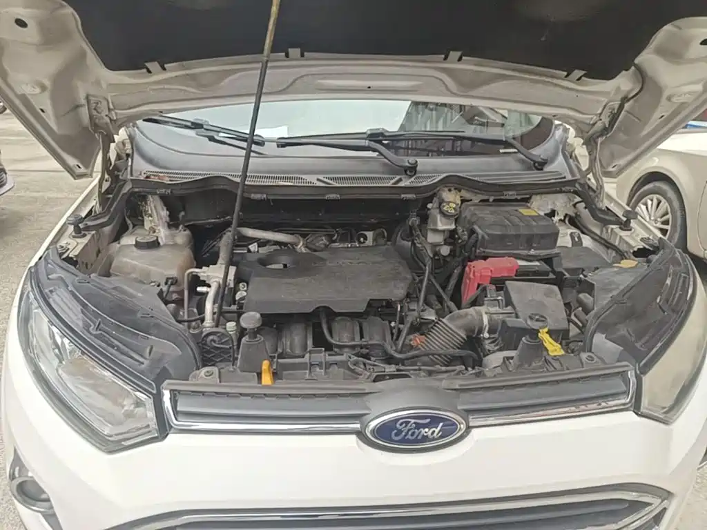Ford EcoSport 2014 — фото 20