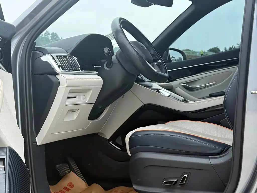 BYD PLUS New Energy 2023 — фото 18
