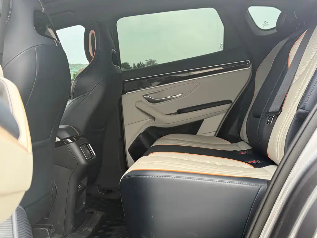 BYD PLUS New Energy 2023 — фото 17