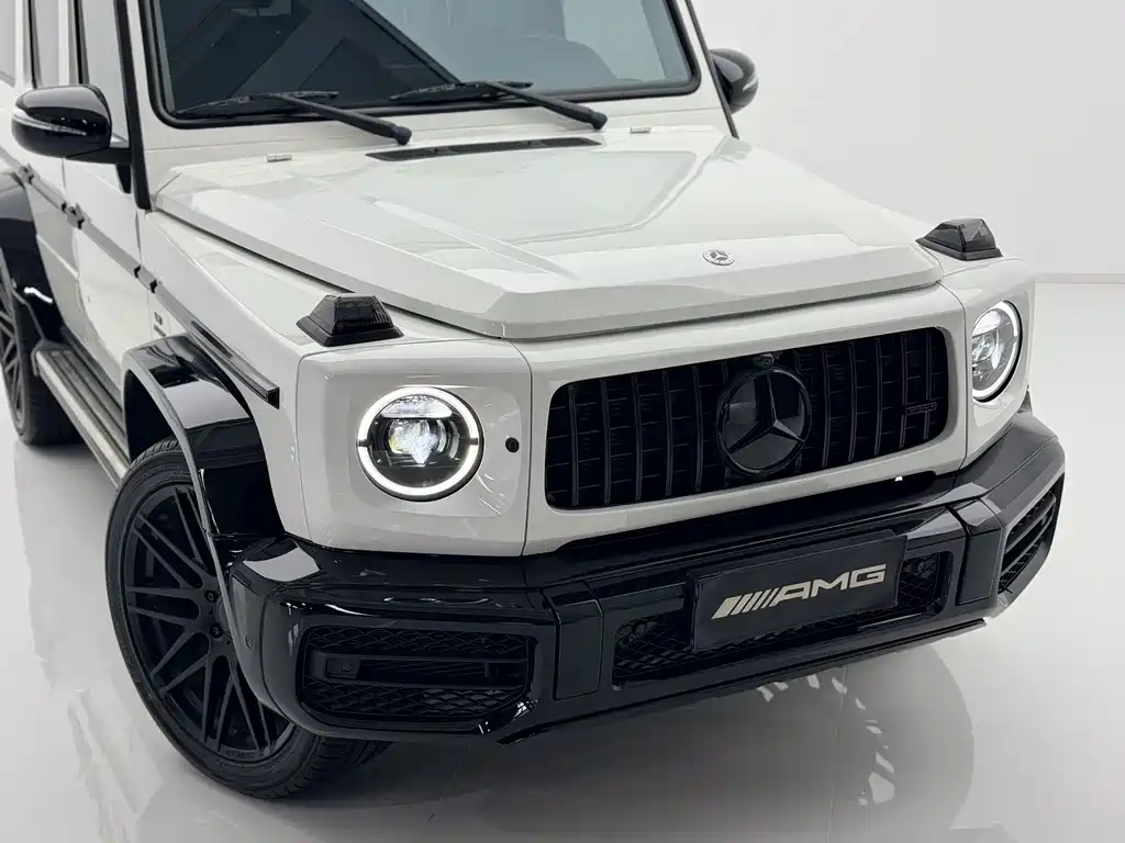 Mercedes-Benz G-Class 2018 — фото 13