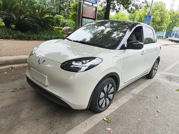 Wuling Bingo 2023