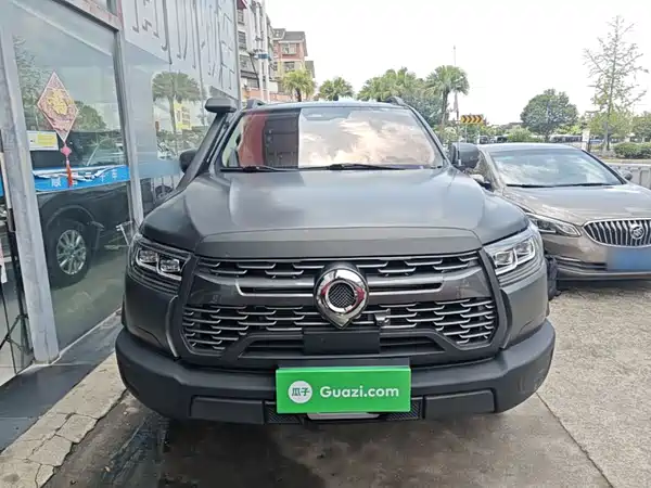 Great Wall Poer 2025