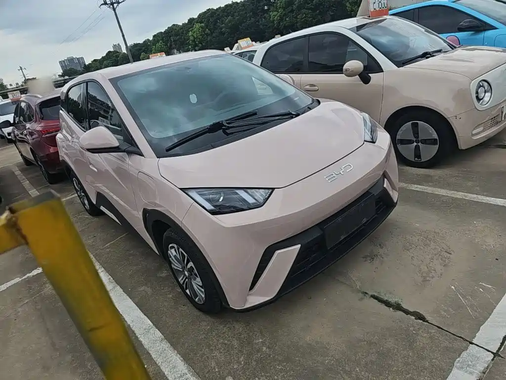 BYD Seagull 2024