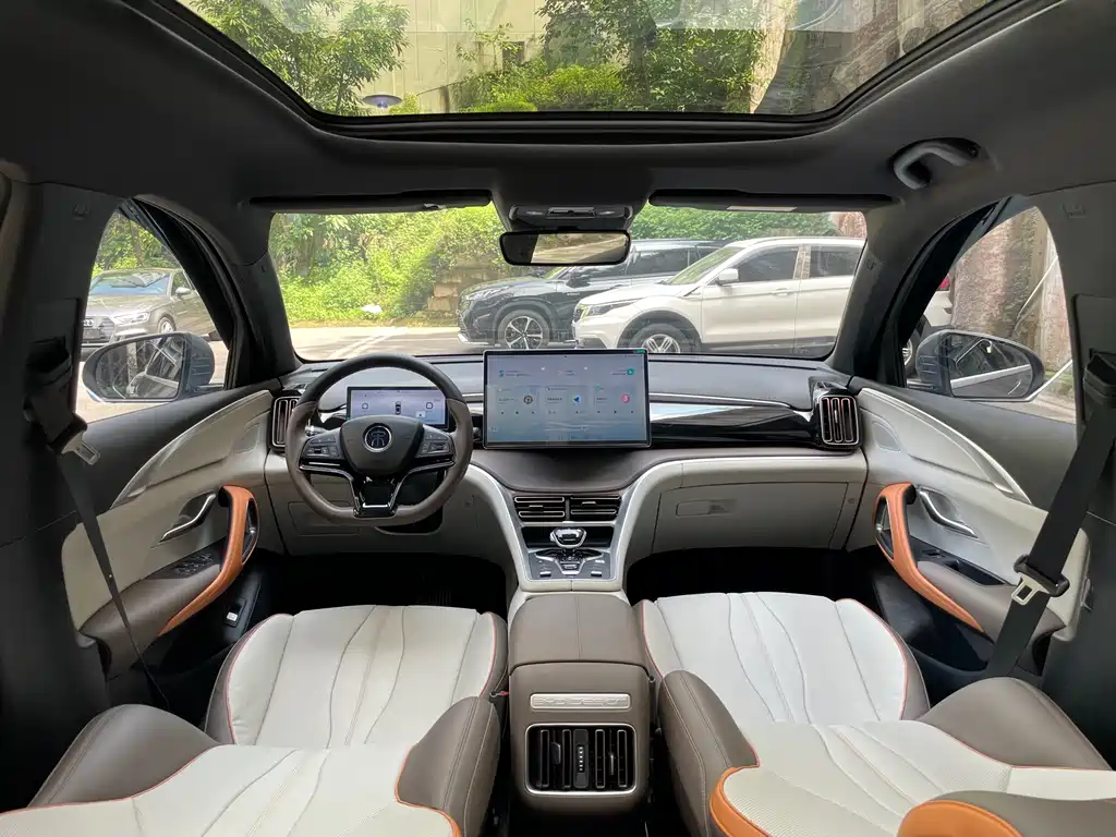 BYD Pro New Energy 2023 — фото 19