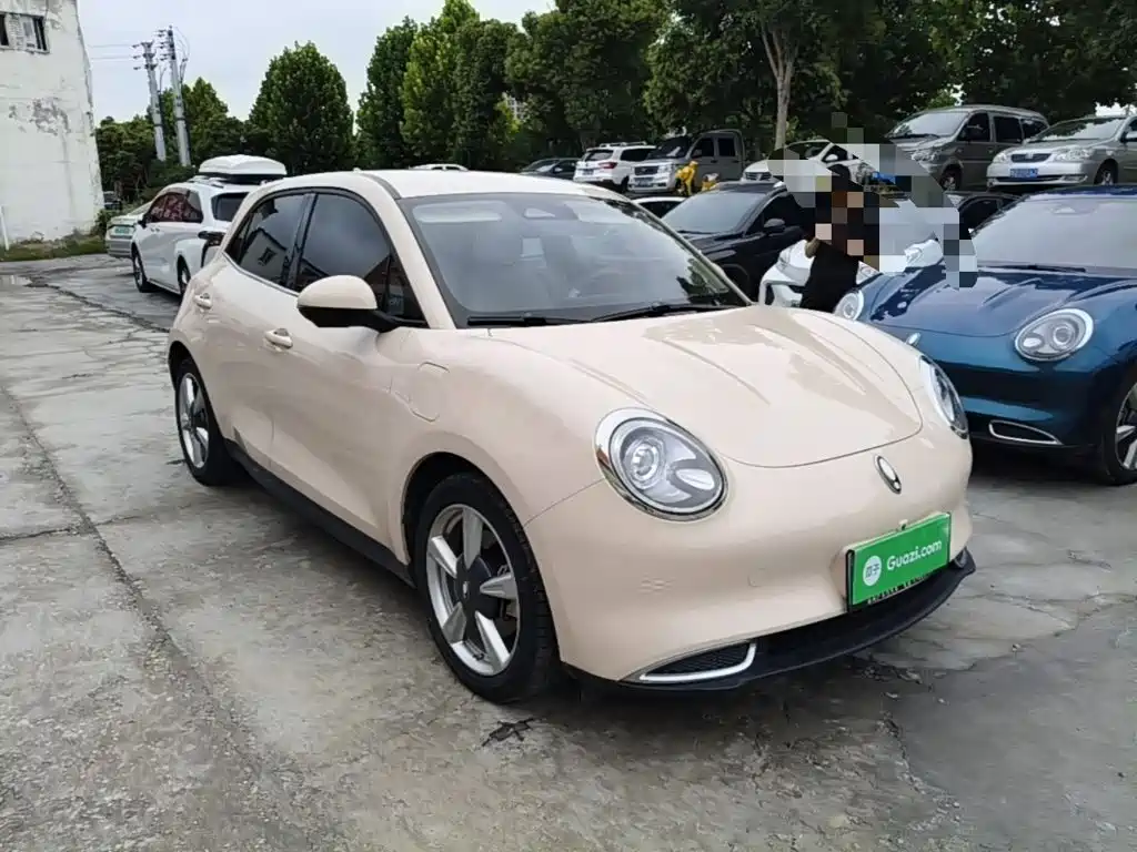 Ora Good Cat 2023
