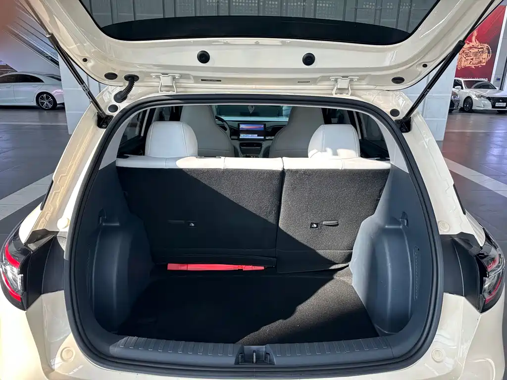 Geely Galaxy Starwish 2025 — фото 15