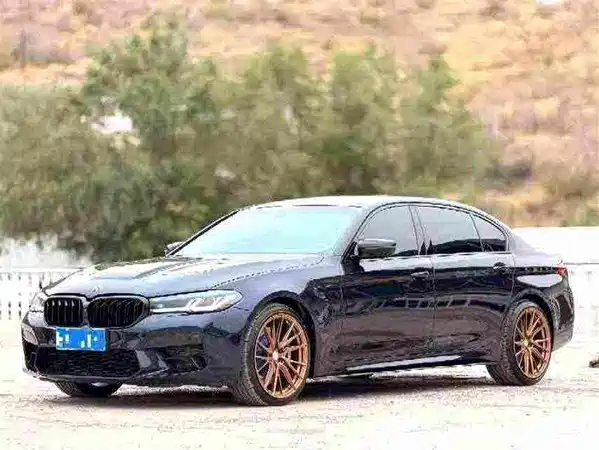 BMW 5 Series 2019