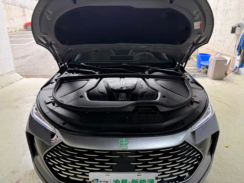 BYD Tang New Energy 2025 — фото 14