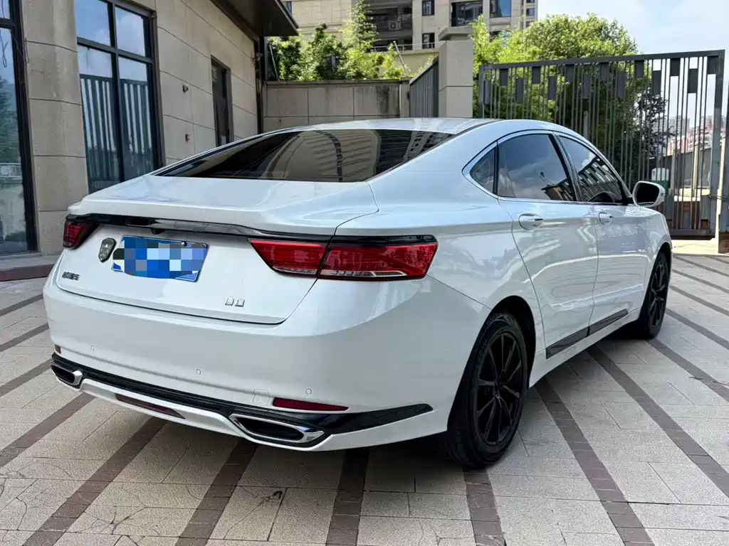 Geely Borui 2020 — фото 13