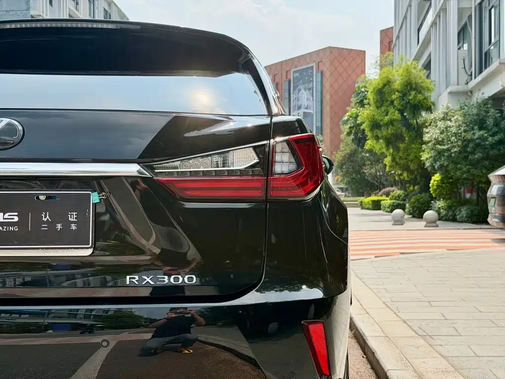 Lexus RX 2016 — фото 20