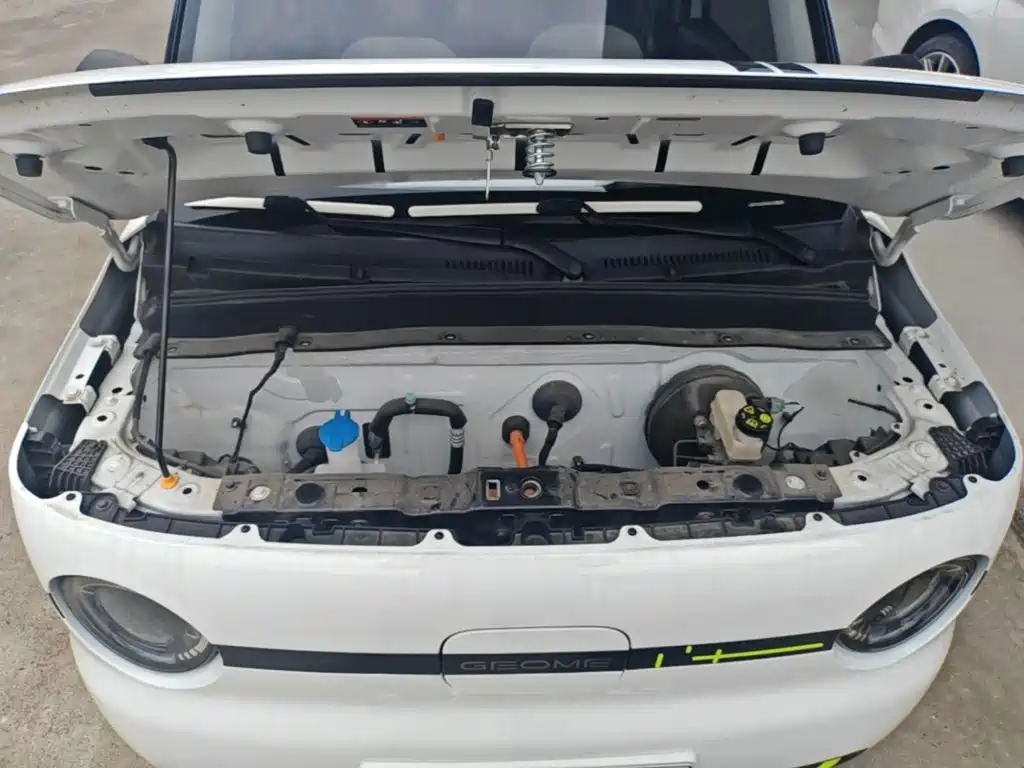 Geely Galaxy Panda 2025 — фото 20