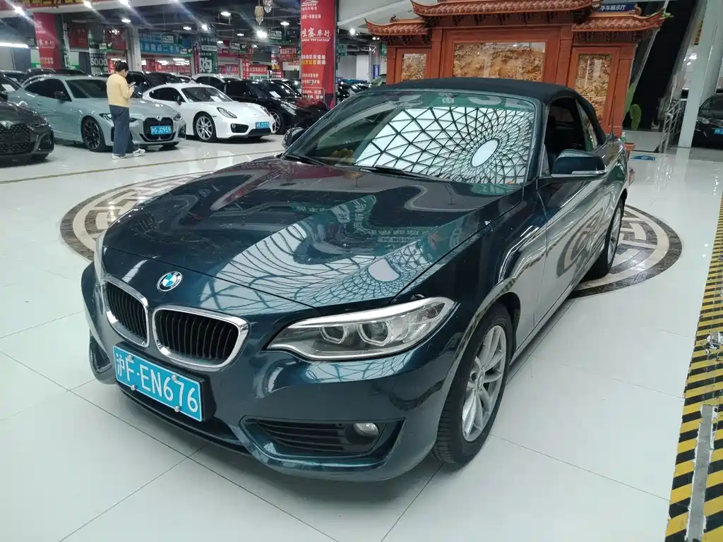 BMW 2 Series 2017