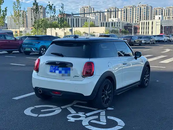 MINI MINI 2020
