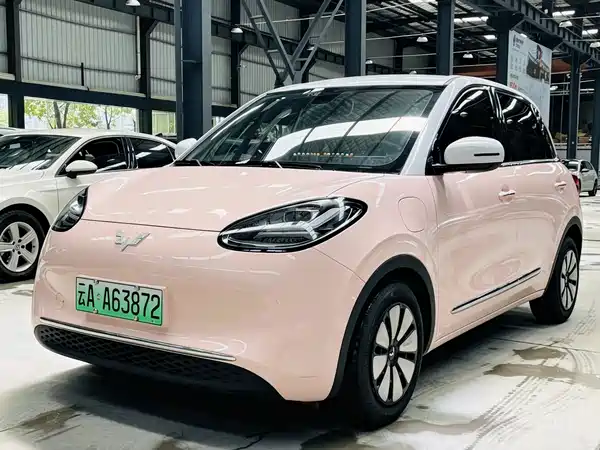 Wuling Bingo 2024