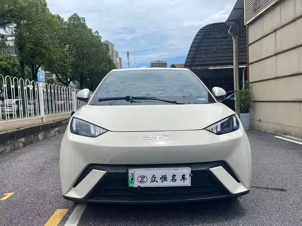 BYD Seagull 2024