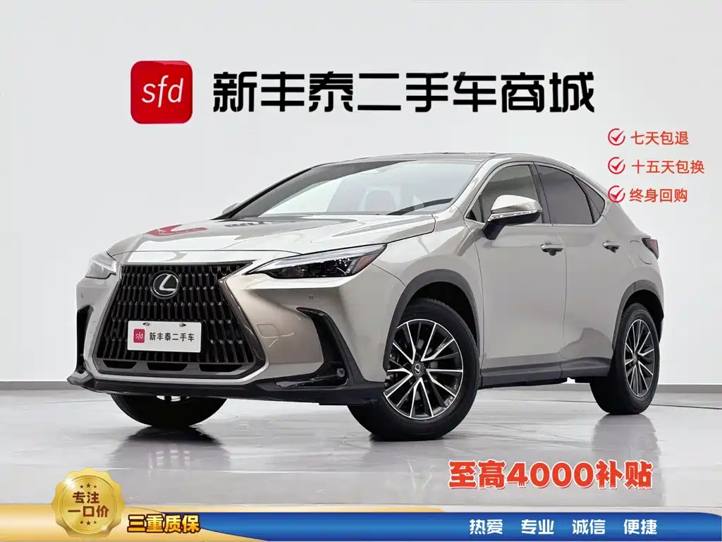 Lexus NX 2024 — фото 1