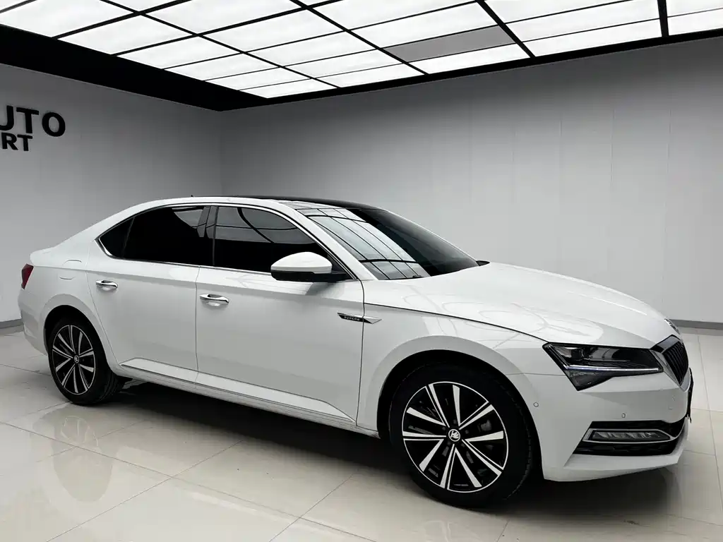 Skoda Speedy 2024