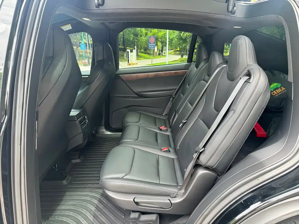 Tesla Model X 2019 — фото 11