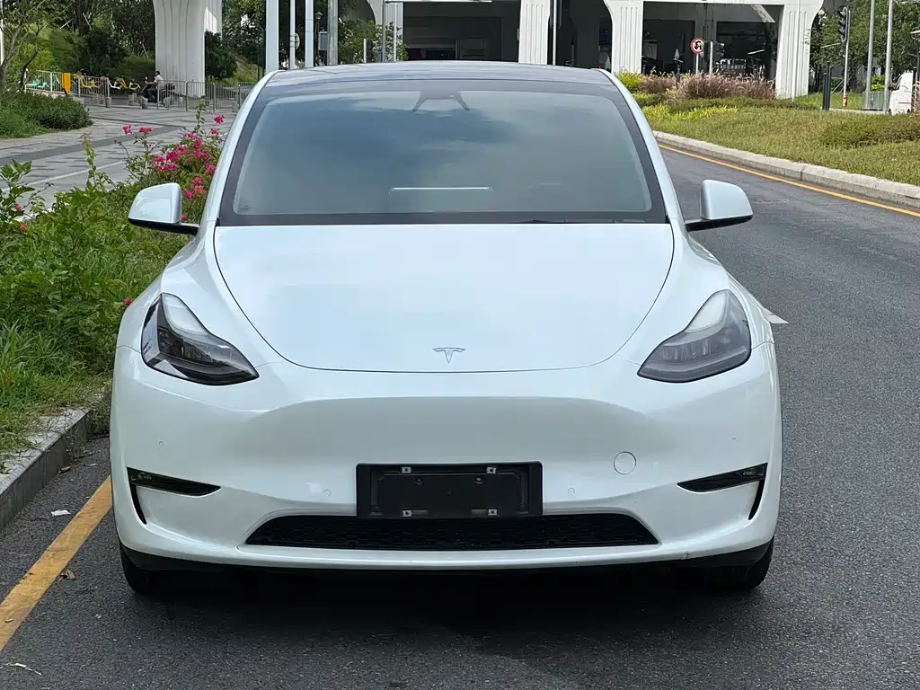 Tesla Model Y 2021 — фото 2