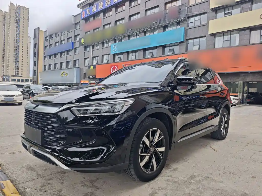 BYD Pro New Energy 2024 — фото 2