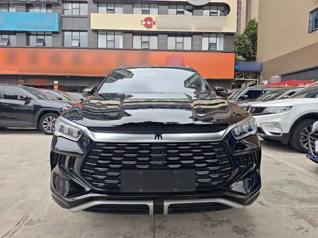 BYD Pro New Energy 2024 — фото 7