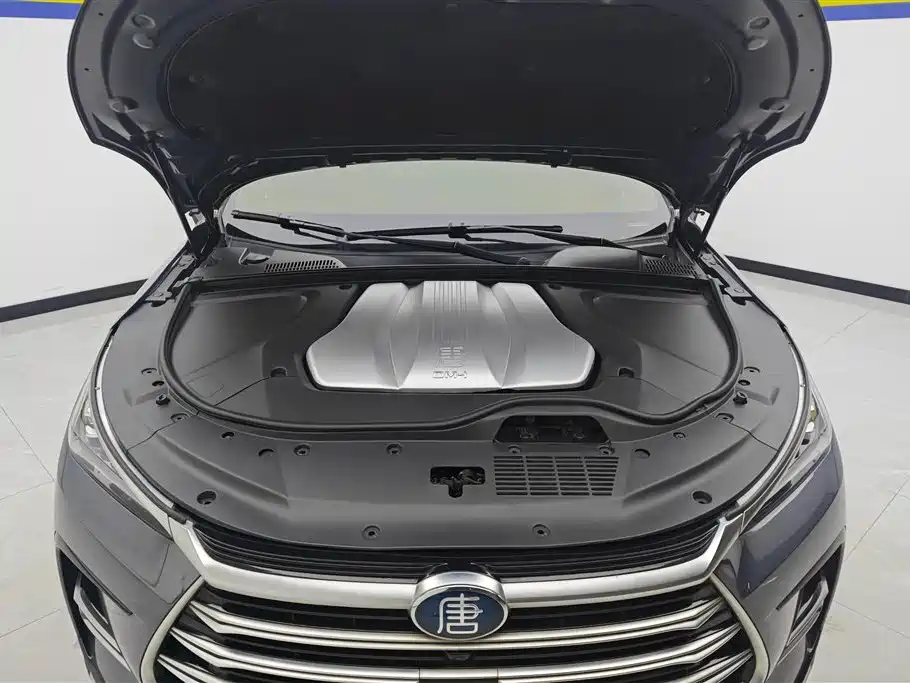 BYD Tang New Energy 2022 — фото 10