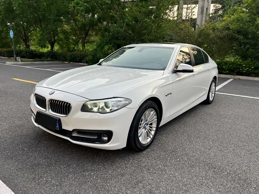 BMW 5 Series 2016 — фото 1