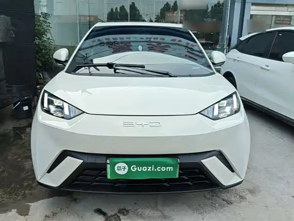 BYD Seagull 2024