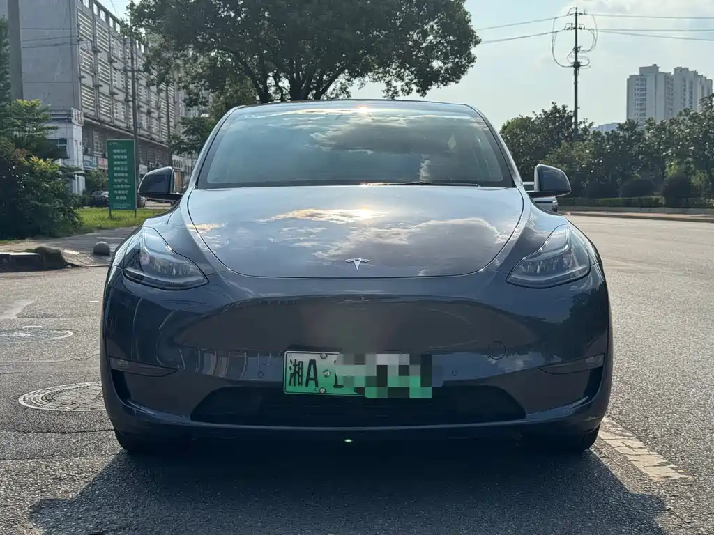 Tesla Model Y 2021 — фото 1