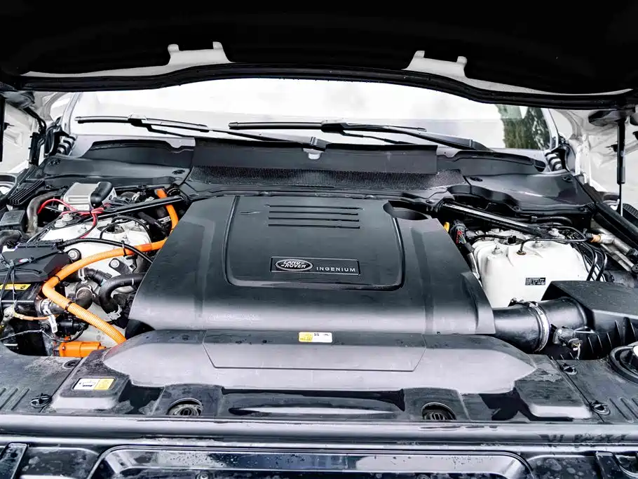 Land Rover Range Rover Sport New Energy 2019 — фото 24