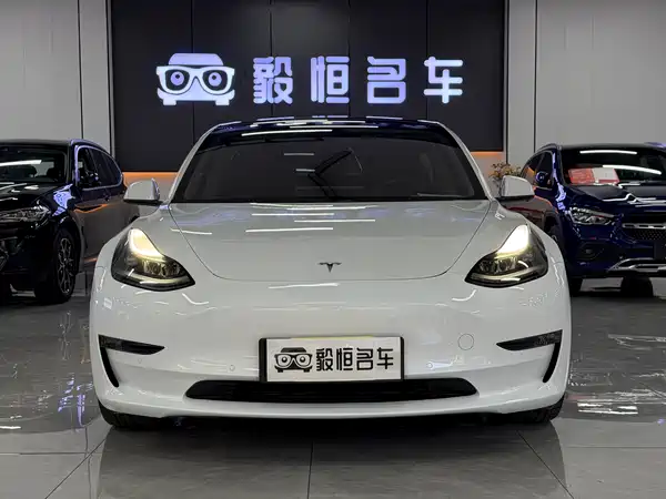 Tesla Model 3 2021