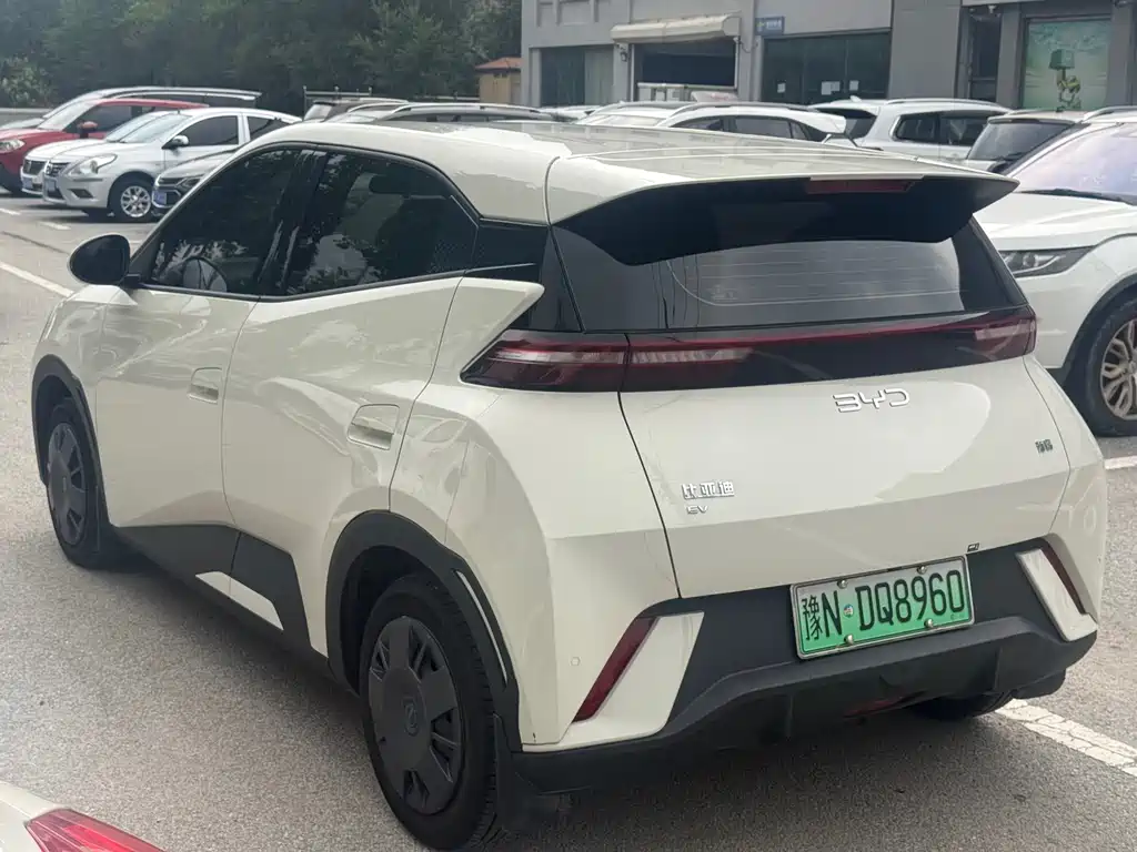 BYD Seagull 2025