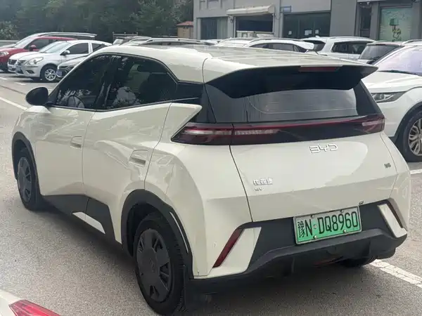 BYD Seagull 2025
