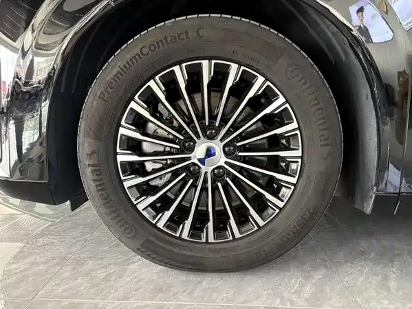 Denza D9 2025