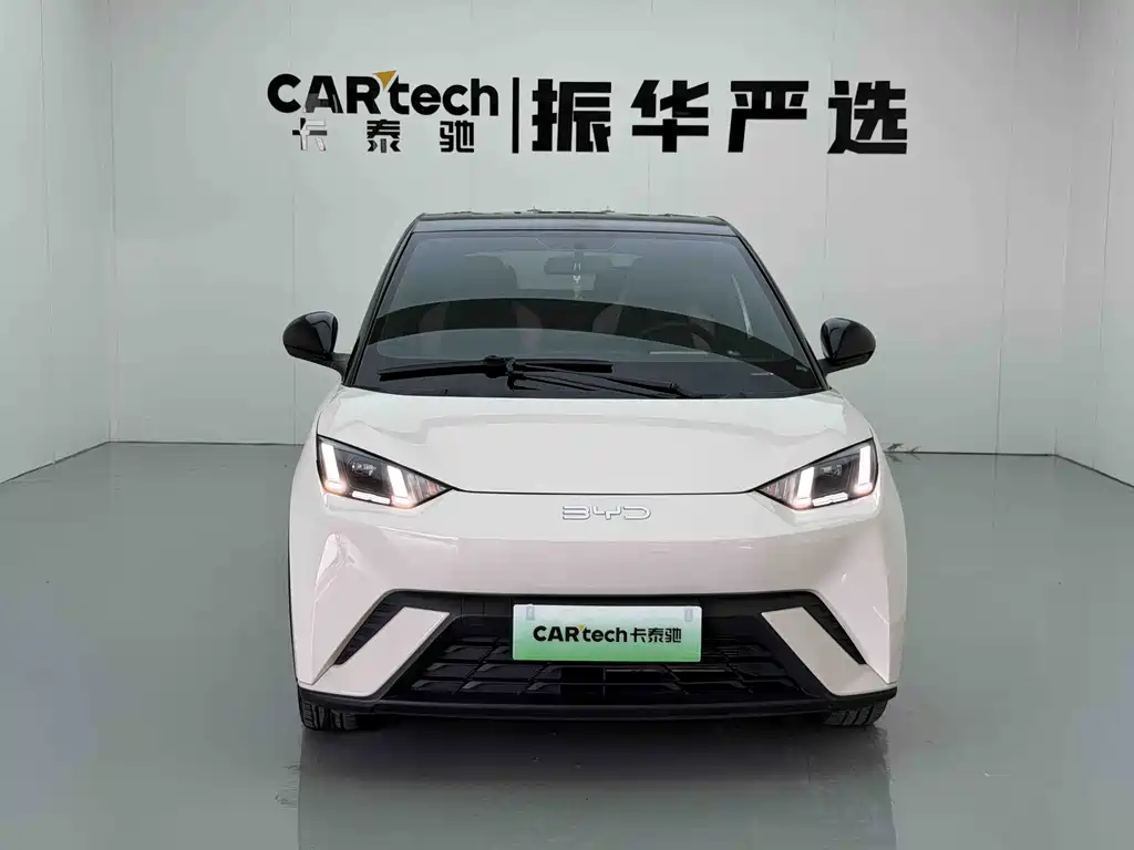 BYD Seagull 2024