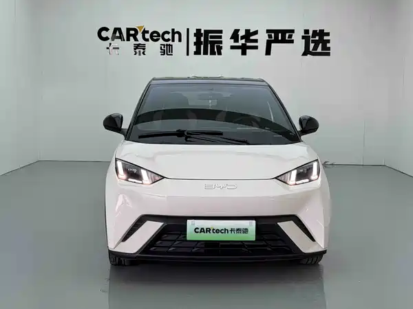 BYD Seagull 2024