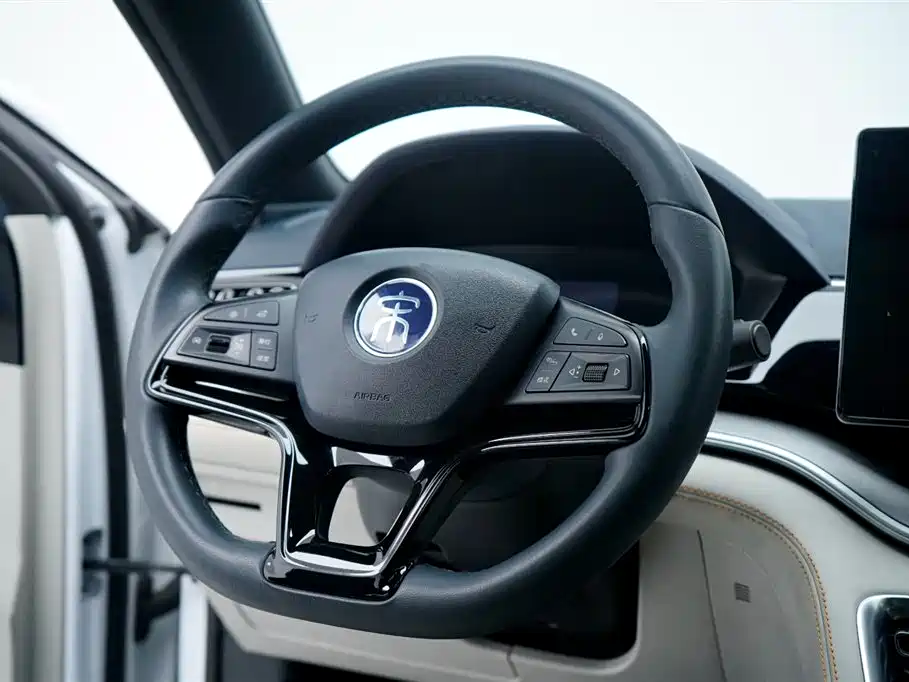 BYD PLUS New Energy 2023 — фото 22