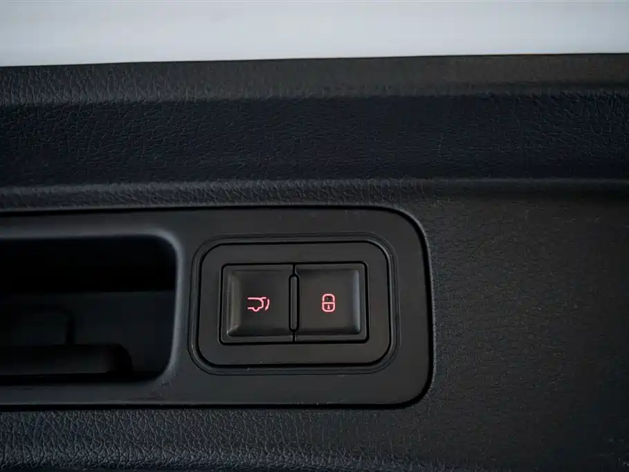BYD PLUS New Energy 2023 — фото 16