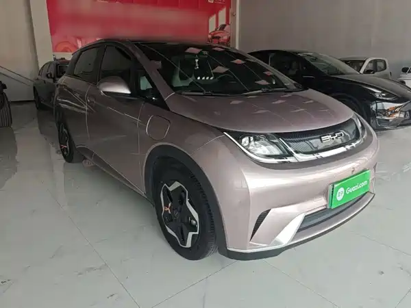 BYD Dolphin 2022